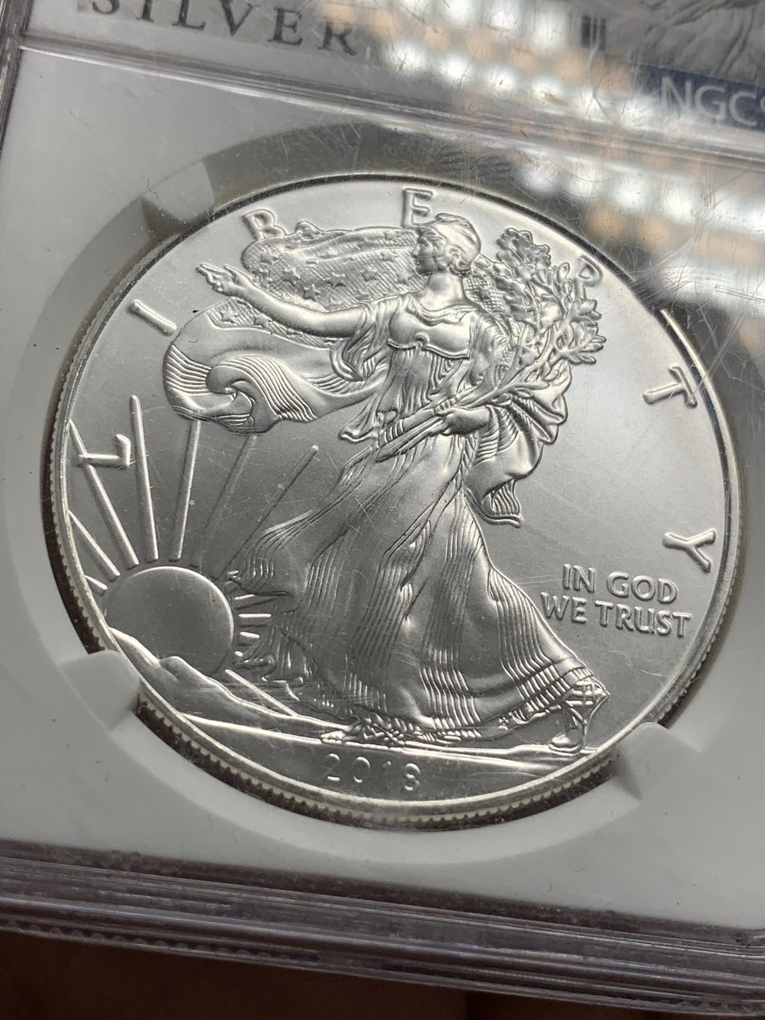 《竞宝斋》第89场-本周日，周一，周四，3场连拍（全场不限金额包邮） NGC-MS69  美国 2018年 自由女神 1美元银币 