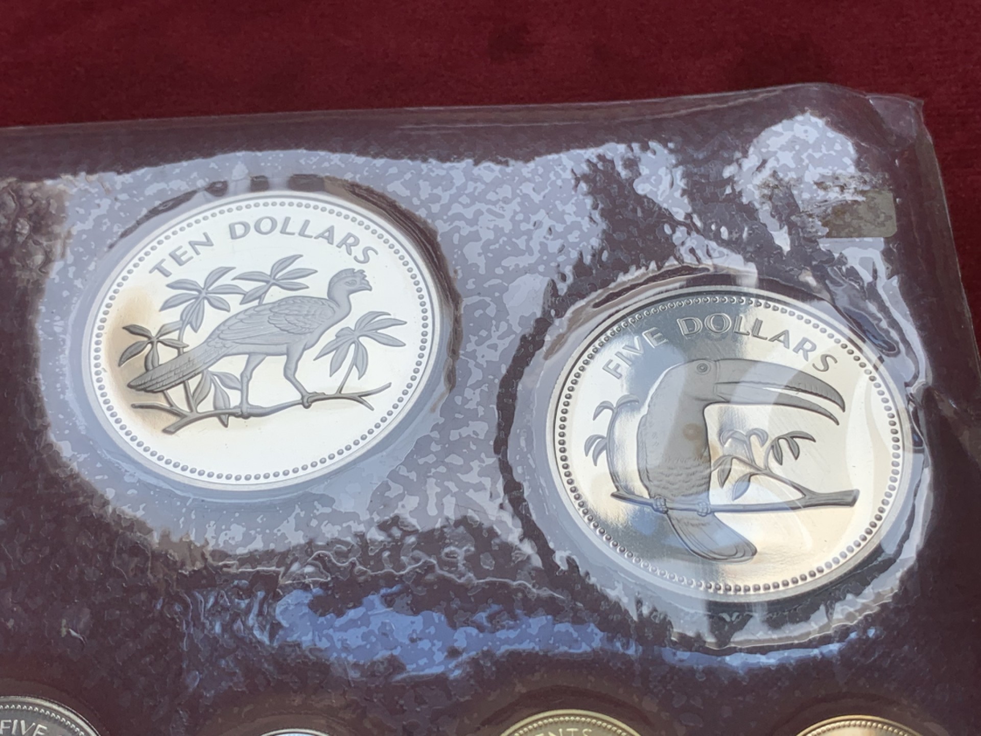 《竞宝斋》第89场-本周日，周一，周四，3场连拍（全场不限金额包邮） 原盒伯利兹1974年鸟类精制币 8枚套