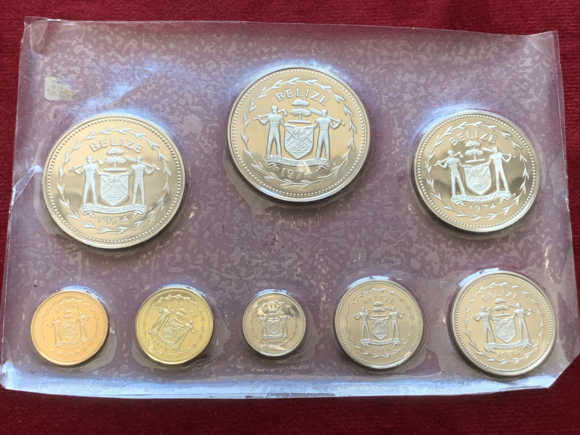 《竞宝斋》第89场-本周日，周一，周四，3场连拍（全场不限金额包邮） 原盒伯利兹1974年鸟类精制币 8枚套