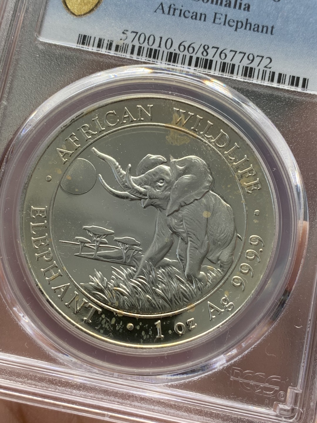 《竞宝斋》第89场-本周日，周一，周四，3场连拍（全场不限金额包邮） PCGS-MS66  索马里 2016年100先令 非洲大象银币  