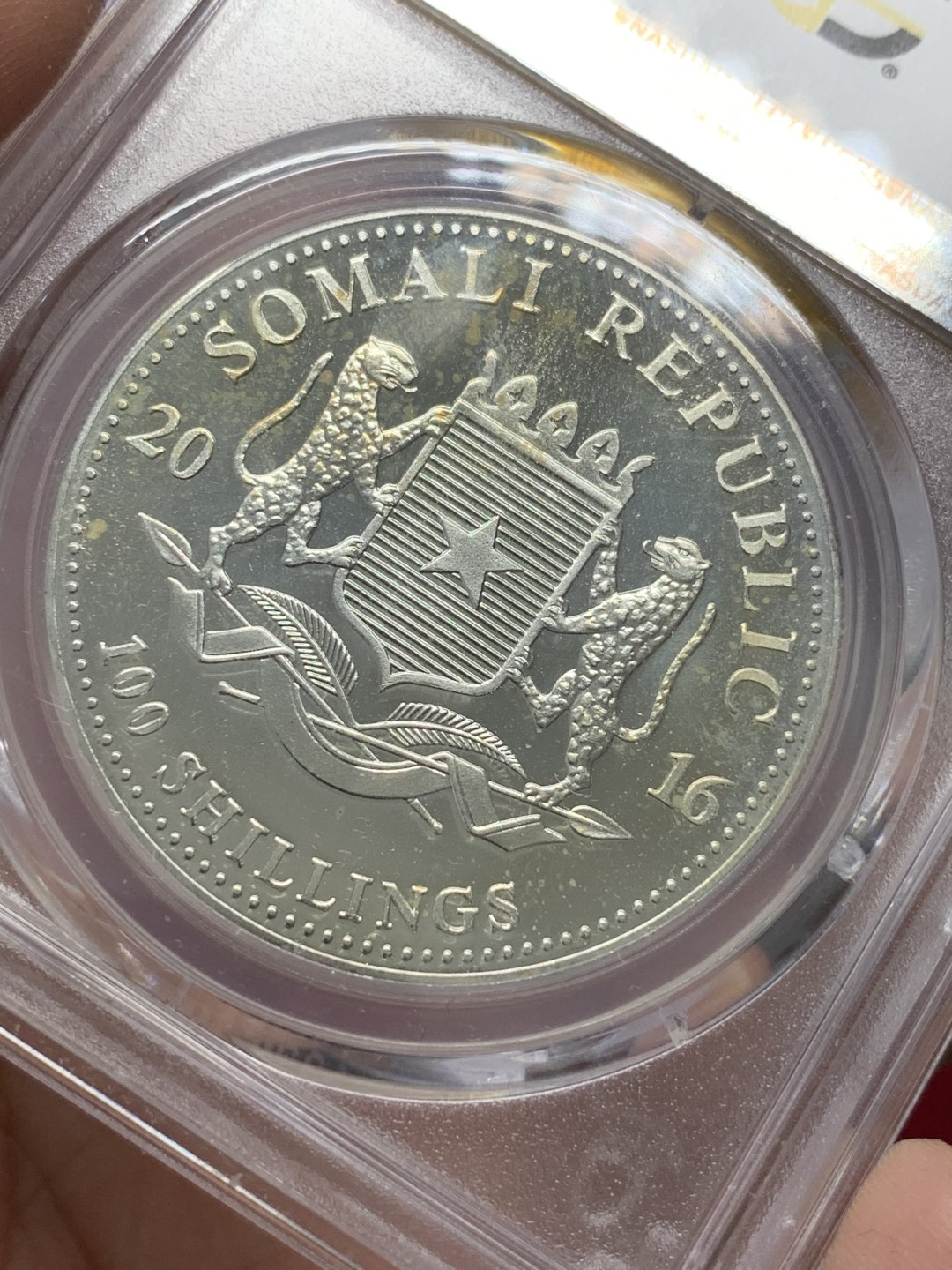 《竞宝斋》第89场-本周日，周一，周四，3场连拍（全场不限金额包邮） PCGS-MS66  索马里 2016年100先令 非洲大象银币  