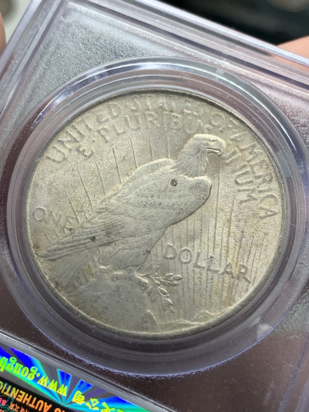 《竞宝斋》第89场-本周日，周一，周四，3场连拍（全场不限金额包邮） 公博MS64  美国 1924年 和平鸽1美元银币