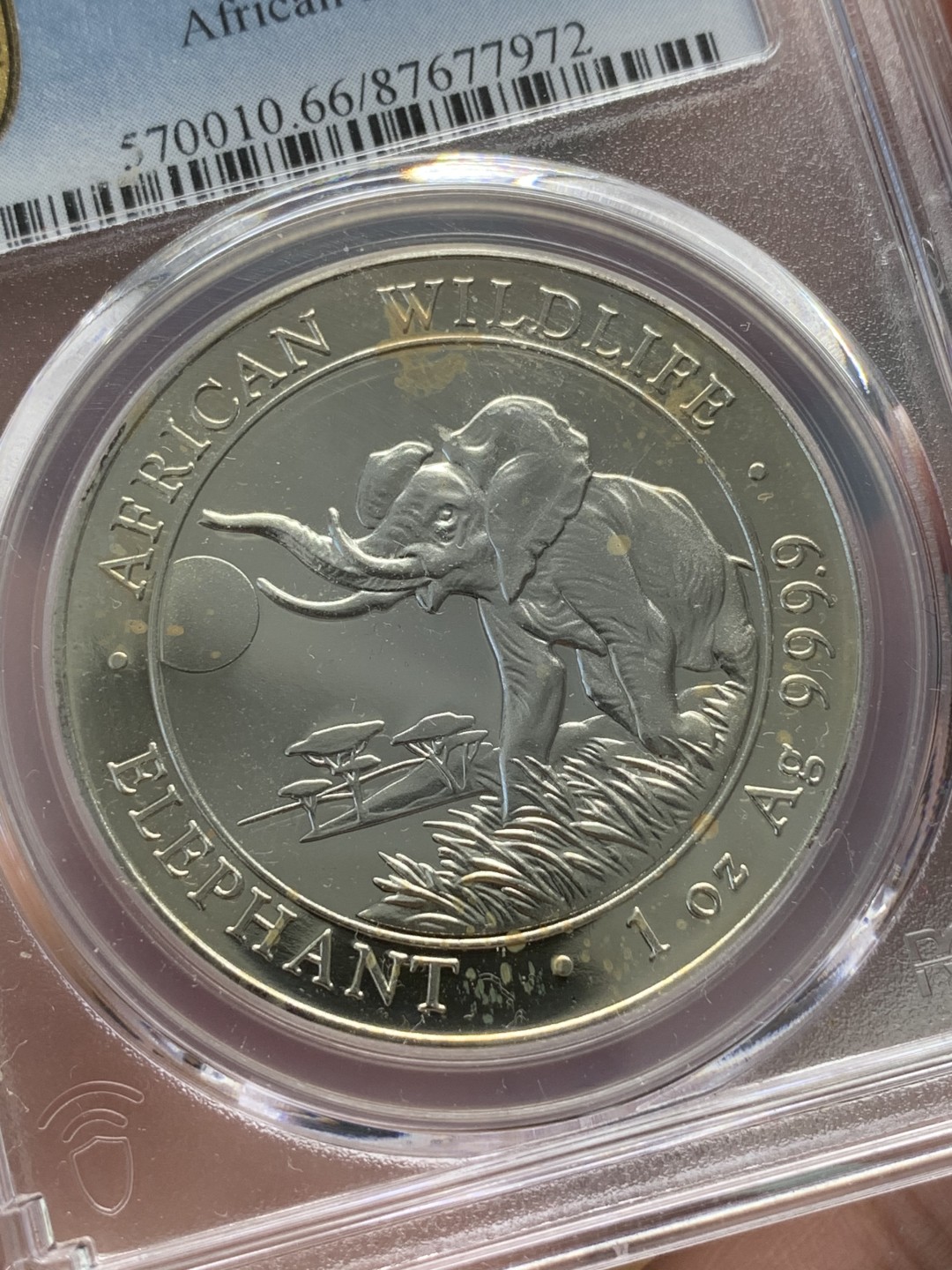 《竞宝斋》第89场-本周日，周一，周四，3场连拍（全场不限金额包邮） PCGS-MS66  索马里 2016年100先令 非洲大象银币  