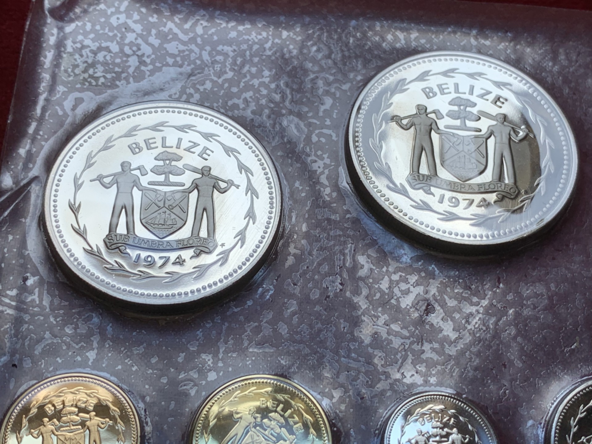 《竞宝斋》第89场-本周日，周一，周四，3场连拍（全场不限金额包邮） 原盒伯利兹1974年鸟类精制币 8枚套