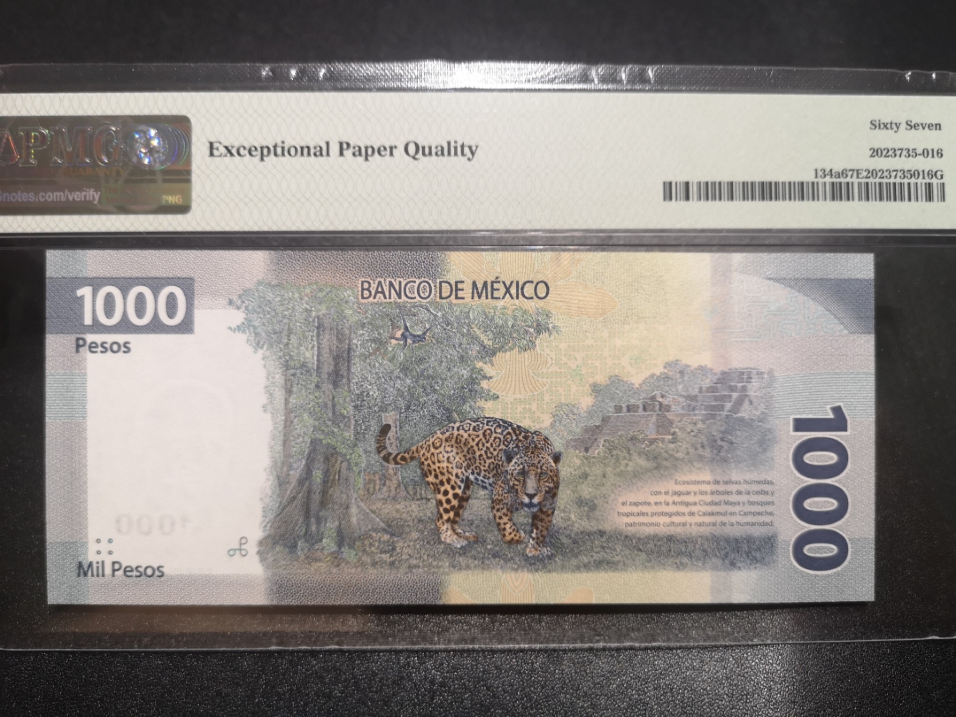 《外钞收藏家》第一百九十七期 2019年墨西哥1000比索 PMG67