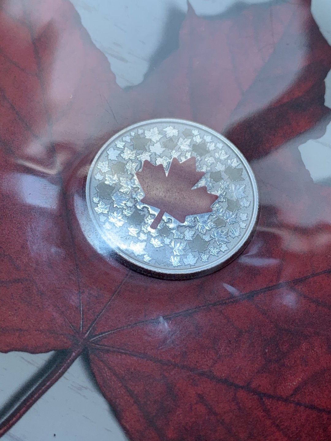 《竞宝斋》第89场-本周日，周一，周四，3场连拍（全场不限金额包邮） 礼品装 加拿大2018年 大红枫叶彩色银币 8克 999纯银