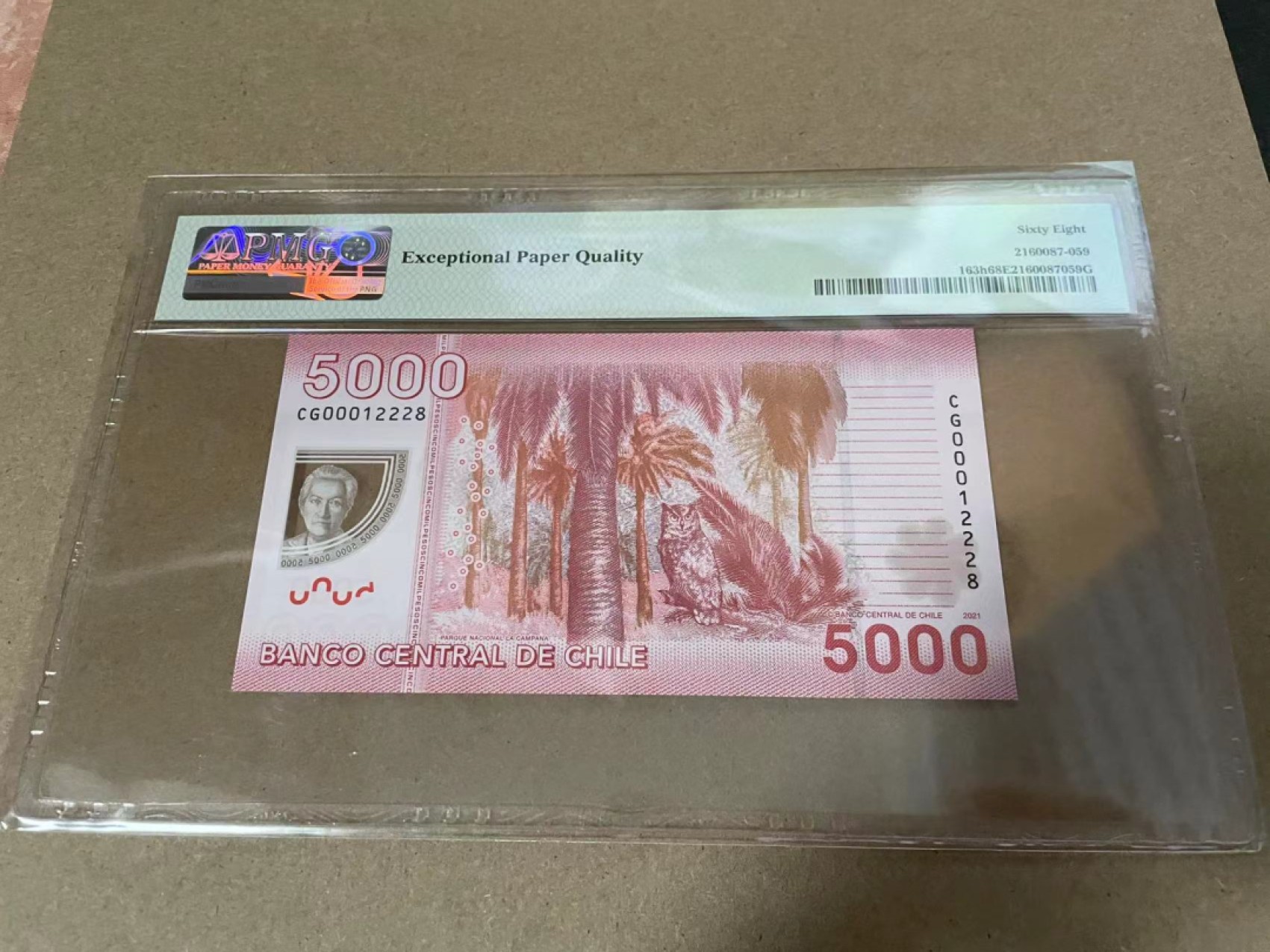 【Blue Auction】✨世界纸币精拍第218期【精】——安彻尔和安娜 【无47】智利 2021年5000比索 PMG68EPQ 高分