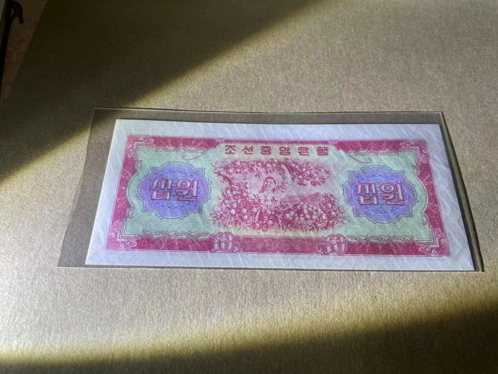 【Blue Auction】✨世界纸币精拍第218期【精】——安彻尔和安娜 朝鲜 1959年10元  UNC- 荧光点