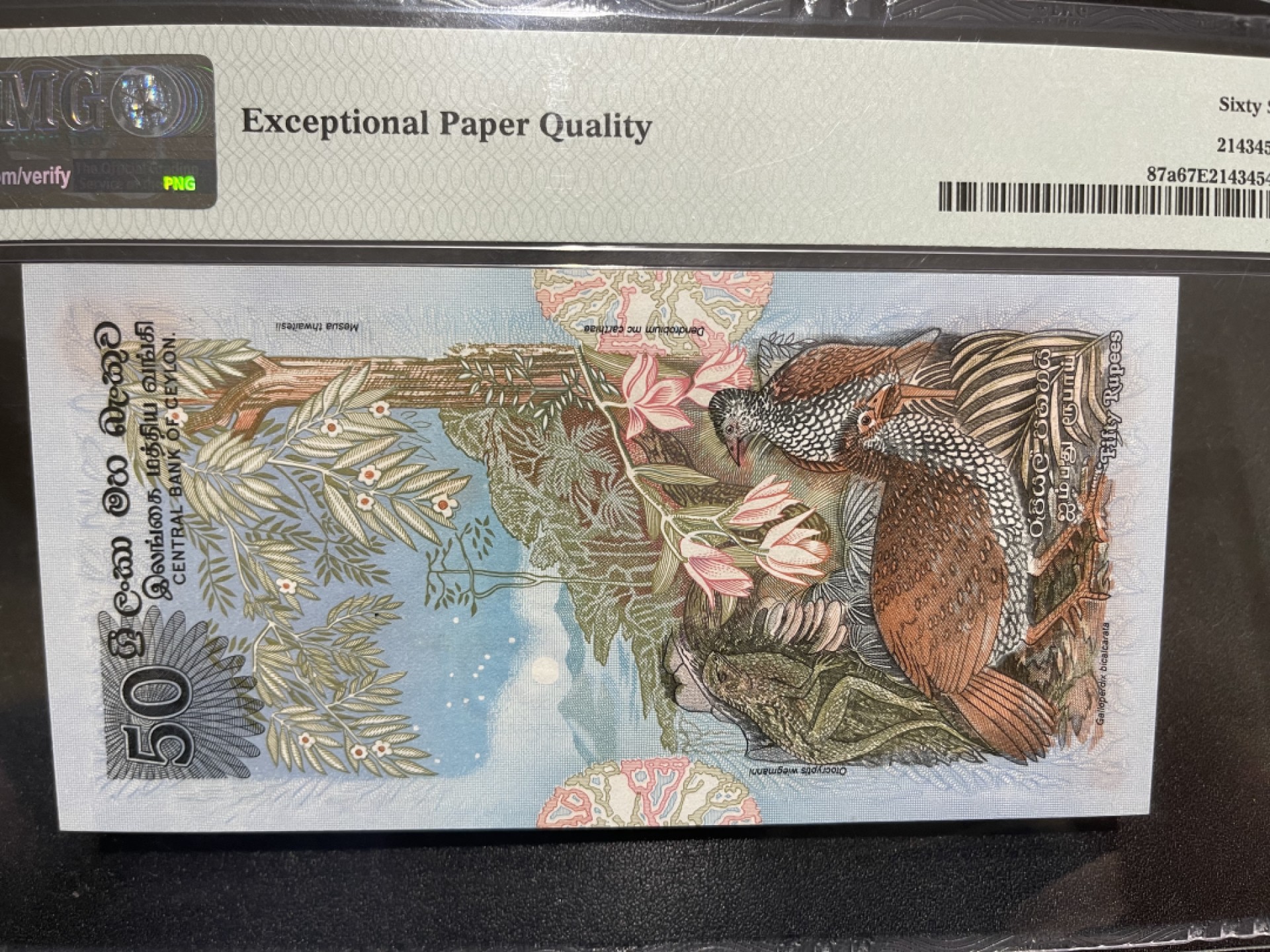 《外钞收藏家》第一百九十八期 1979年斯里兰卡50卢比 PMG67 高分