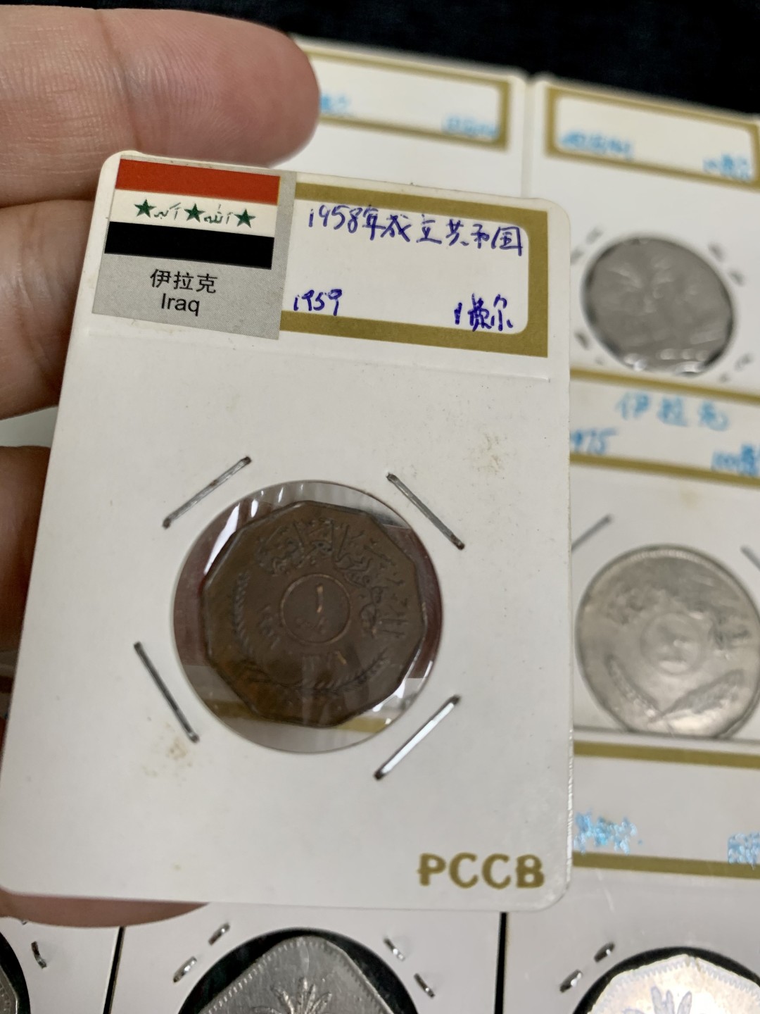 ⚜️圣域骑士收藏团之硬币散币专场 【总第8场】 亚洲 伊拉克🇮🇶流通硬币套组 9枚