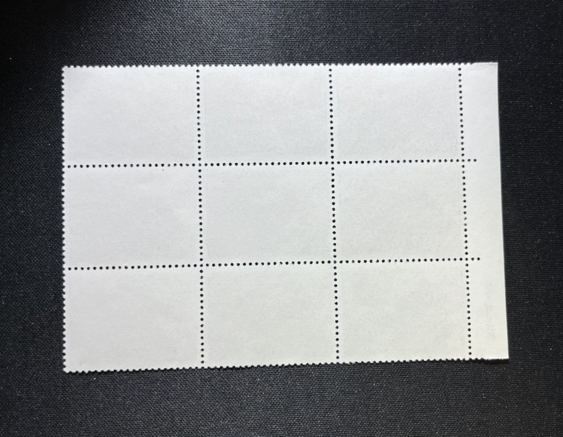 洪涛臻品 精选邮票限时拍卖第十一期 编号N11  22分巴黎公社新 ，数字 厂名9方连，版撕品质，拍照光线不好，无任何发黄，编号精品，三俗稀缺，普通全品好买，版撕全品不好买，注意捡漏，全品可评级！