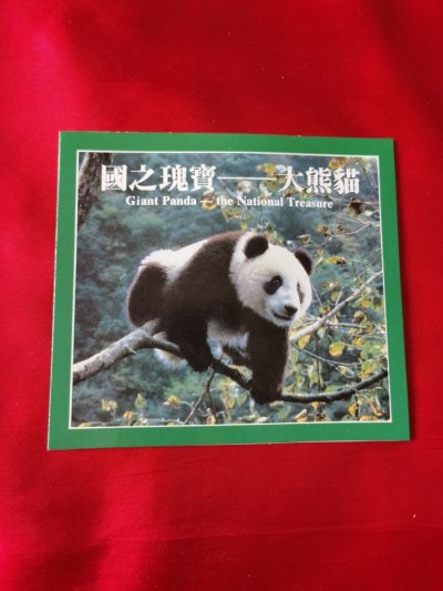 国之瑰宝一大熊猫 - 国之瑰宝一大熊猫