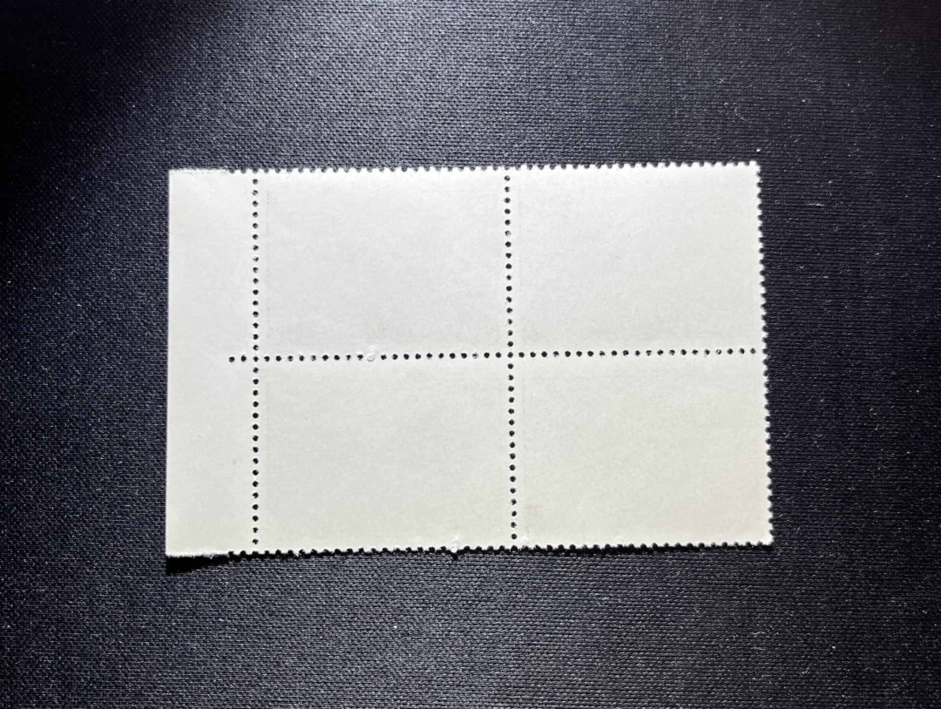洪涛臻品 精选邮票限时拍卖第十二期 编号N11  22分巴黎公社 新 方连带边一组，版撕品质，拍照光线不好，无任何发黄，普通全品好买，版撕全品不好碰。齿新，全品可评级，注意捡漏