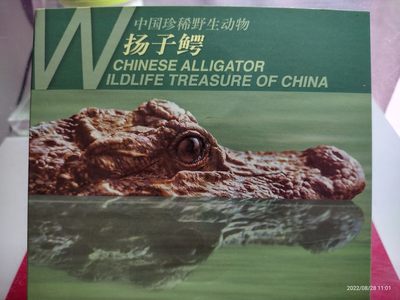 中国珍稀野动物一扬子鳄 - 中国珍稀野动物一扬子鳄