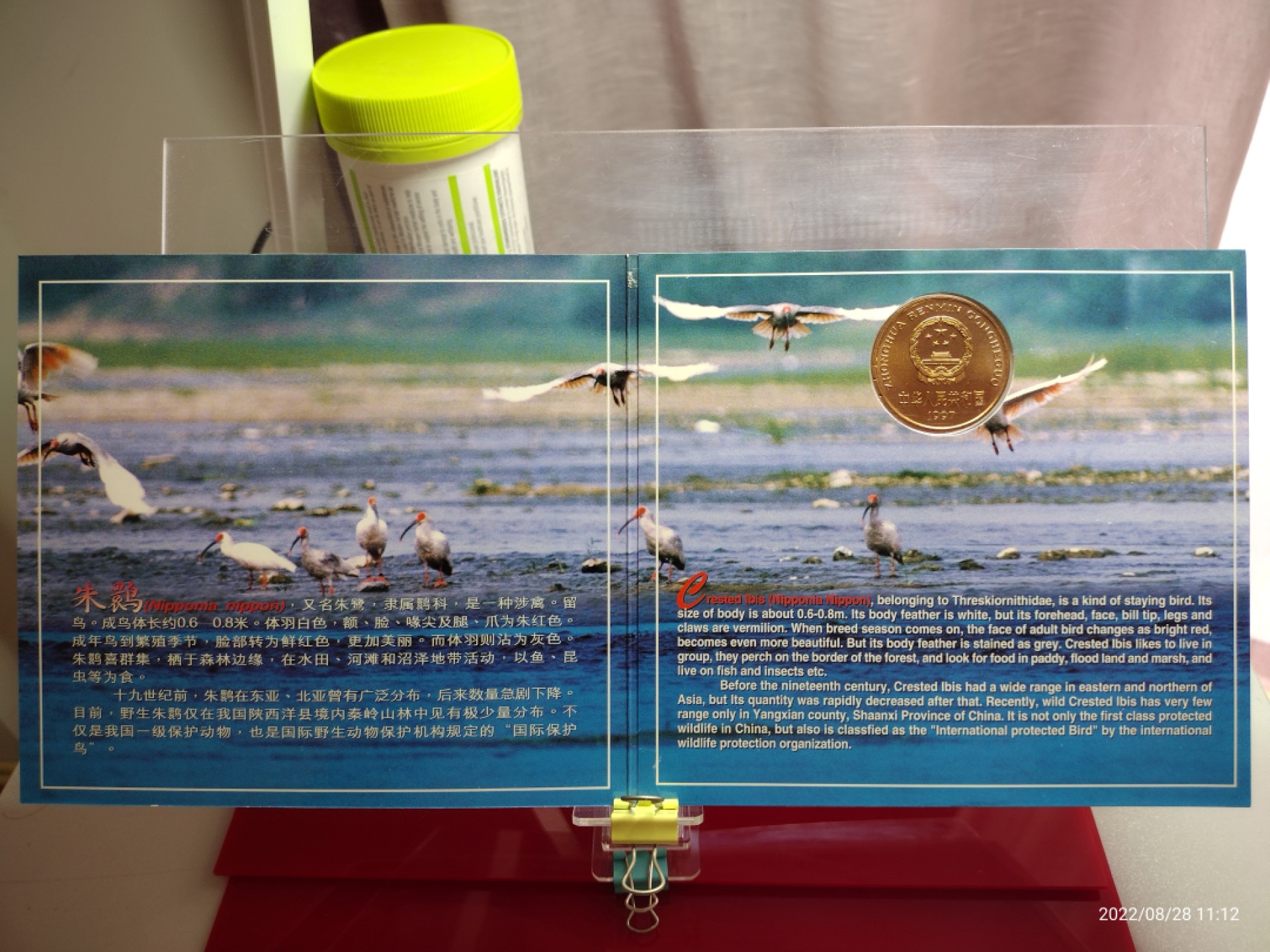 中国珍稀野生动物一朱鹮