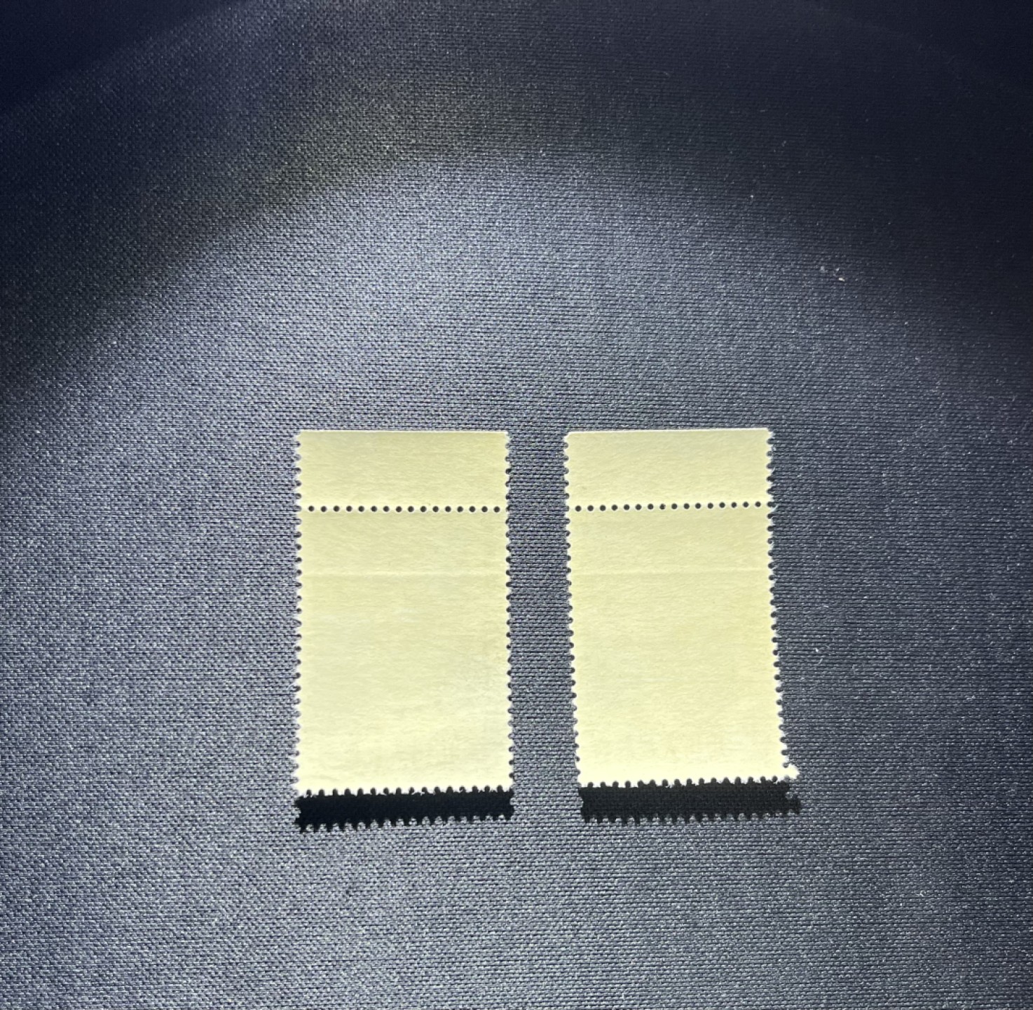 洪涛臻品 精选邮票限时拍卖第十三期 纪91鲁迅新全  2套，上厂名，三俗稀缺，★版撕全品，带原始压痕★会处理的分分钟搞定，别无瑕疵，注意捡漏