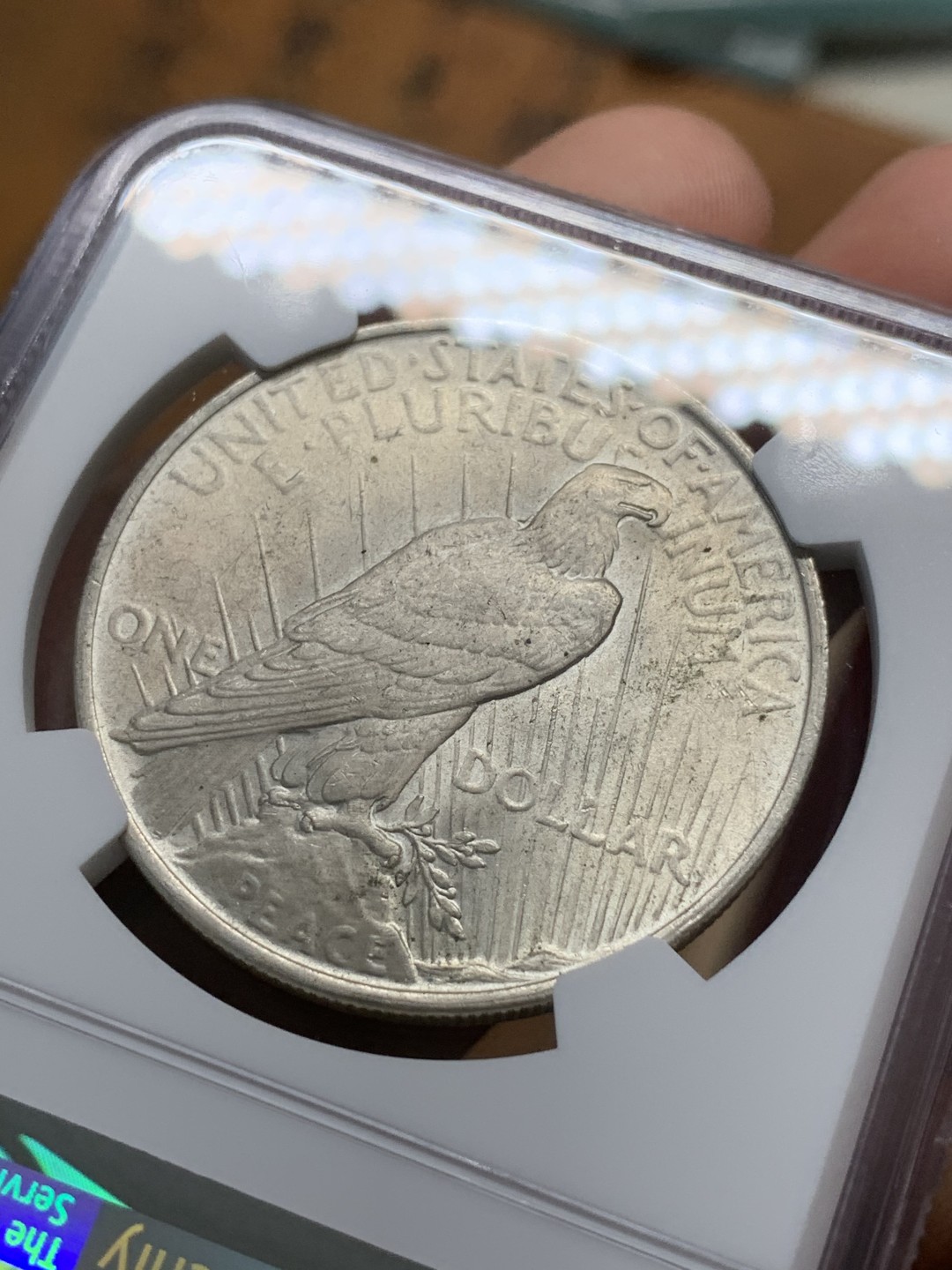 《竞宝斋》第91场-本周日，周一2场连拍（全场不限金额包邮） NGC-MS63 美国1923年 和平鸽一元 大银币 原光好品