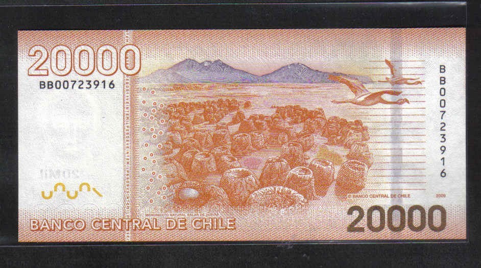 智利2009年20000比索 独立200年流通纪念钞 尾号916 美洲 实物图 UNC      