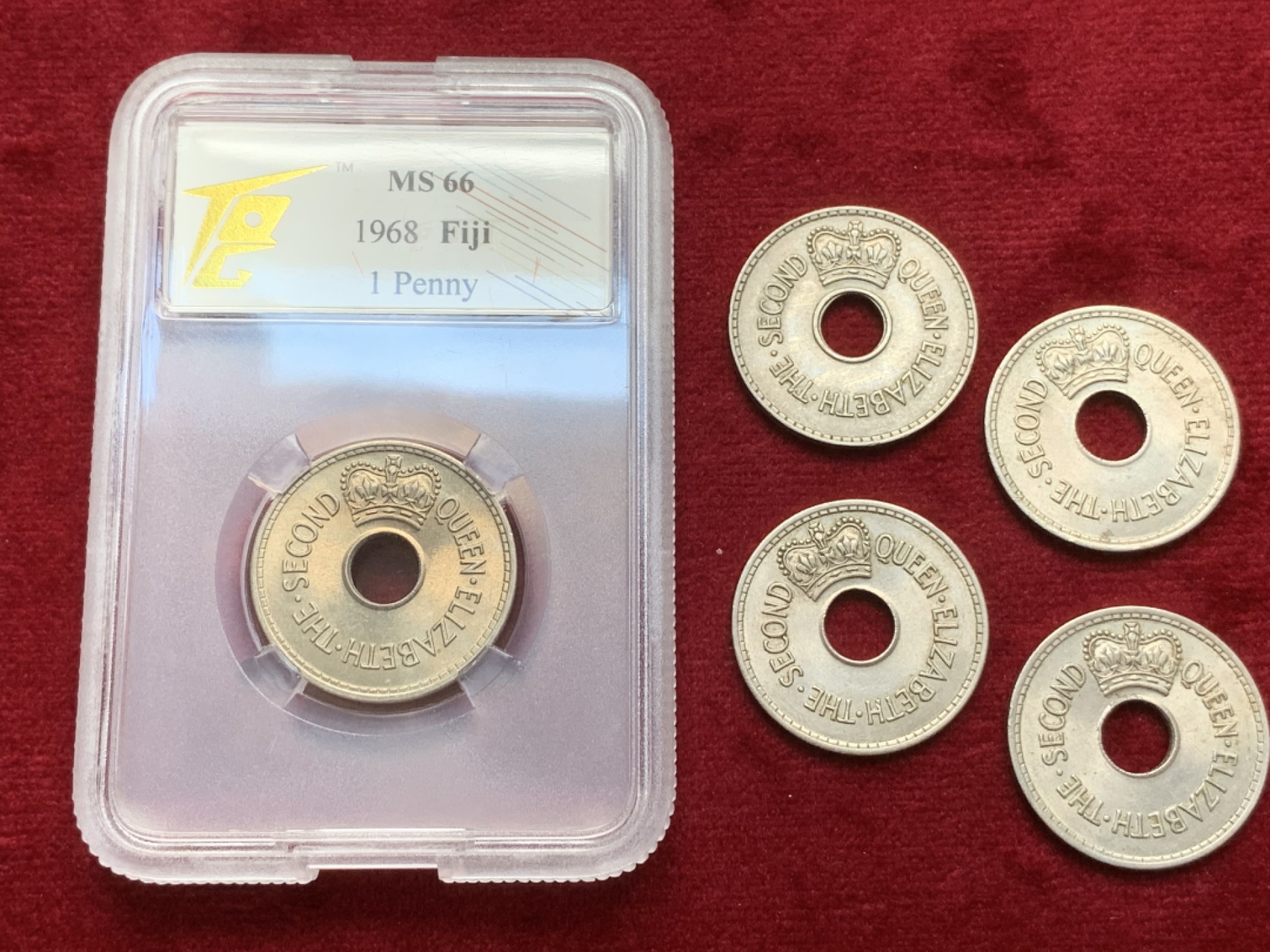 《竞宝斋》第91场-本周日，周一2场连拍（全场不限金额包邮） TQG评级MS66+UNC 5枚合拍 斐济 1便士 中孔流通币 各个年份都有 品相很棒 