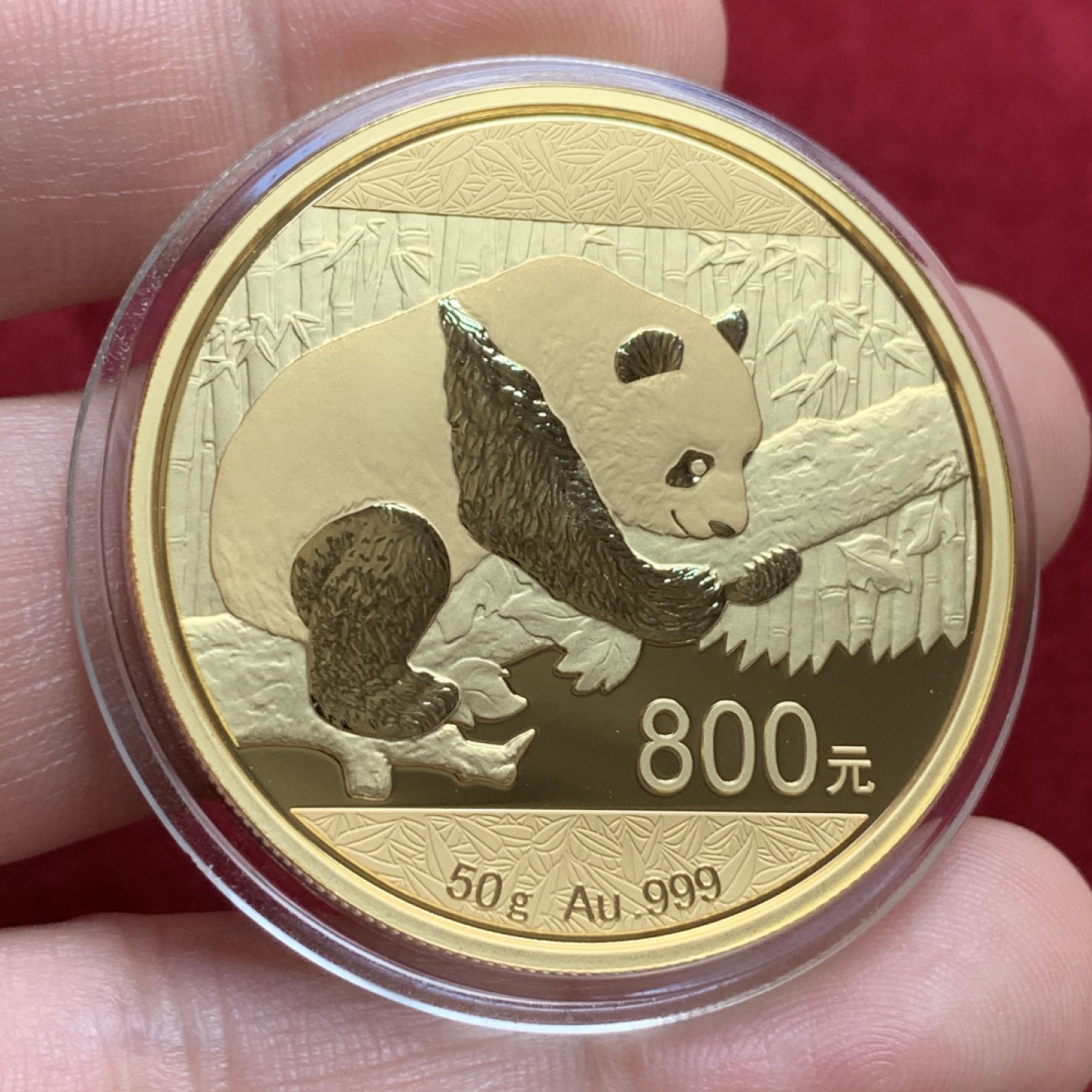 《竞宝斋》第91场-本周日，周一2场连拍（全场不限金额包邮） 超大金币  2016年  熊猫金币  重50克  999金  PF质感 难得一遇