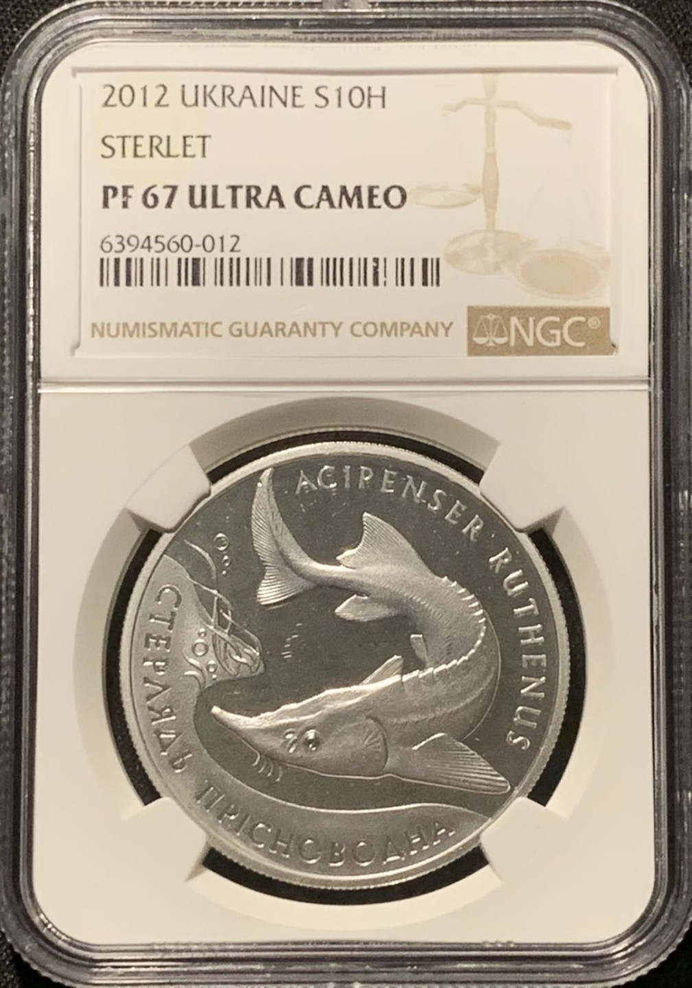 紫瑗钱币——第207期拍卖 乌克兰 2012年 小体鲟鱼 10格里芬 银币 NGC PR67 UC