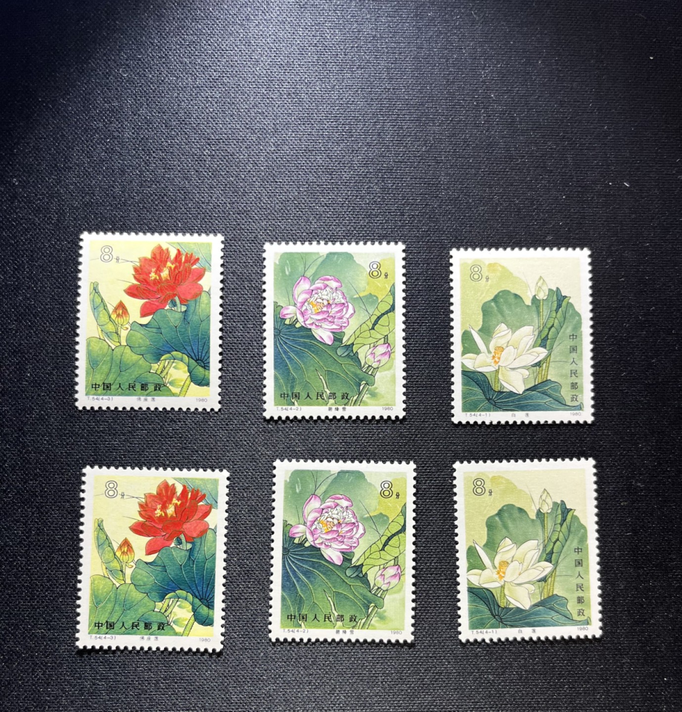 洪涛臻品 精品邮票限时拍卖第十四期 T54荷花4-1  4-2  4-3共三枚分别2枚。共6枚，缺4-4。版撕品质，嘎嘎绝，拍照光线不理想，背面非常白，全品可评级，配套的老板注意捡漏！