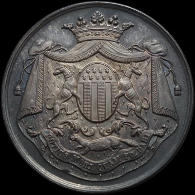 【雨安收藏】第025期 世界各国币章 全场包邮 高效拍卖 10秒间隔08秒倒数自动落锤 晚上7:20 全场包邮 - 章France	法国19世纪雷恩银章 10克，28mm
