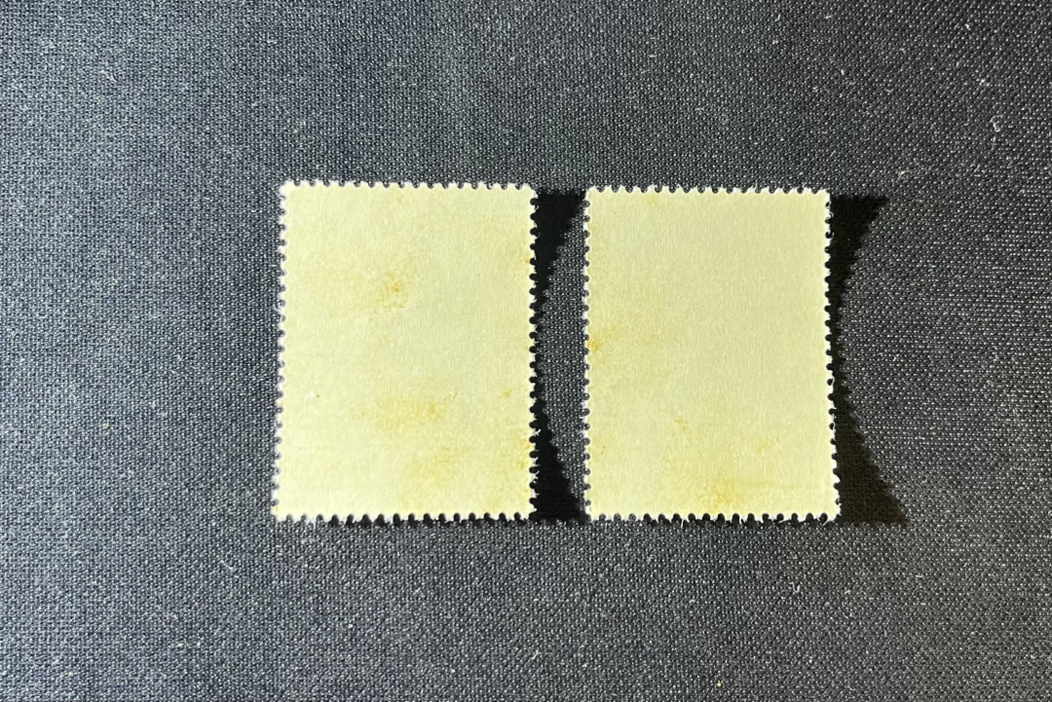 洪涛臻品 精品邮票限时拍卖第十五期 纪91鲁迅新全2套，版撕全品，米胶，胶色不均匀，见图，别无瑕疵