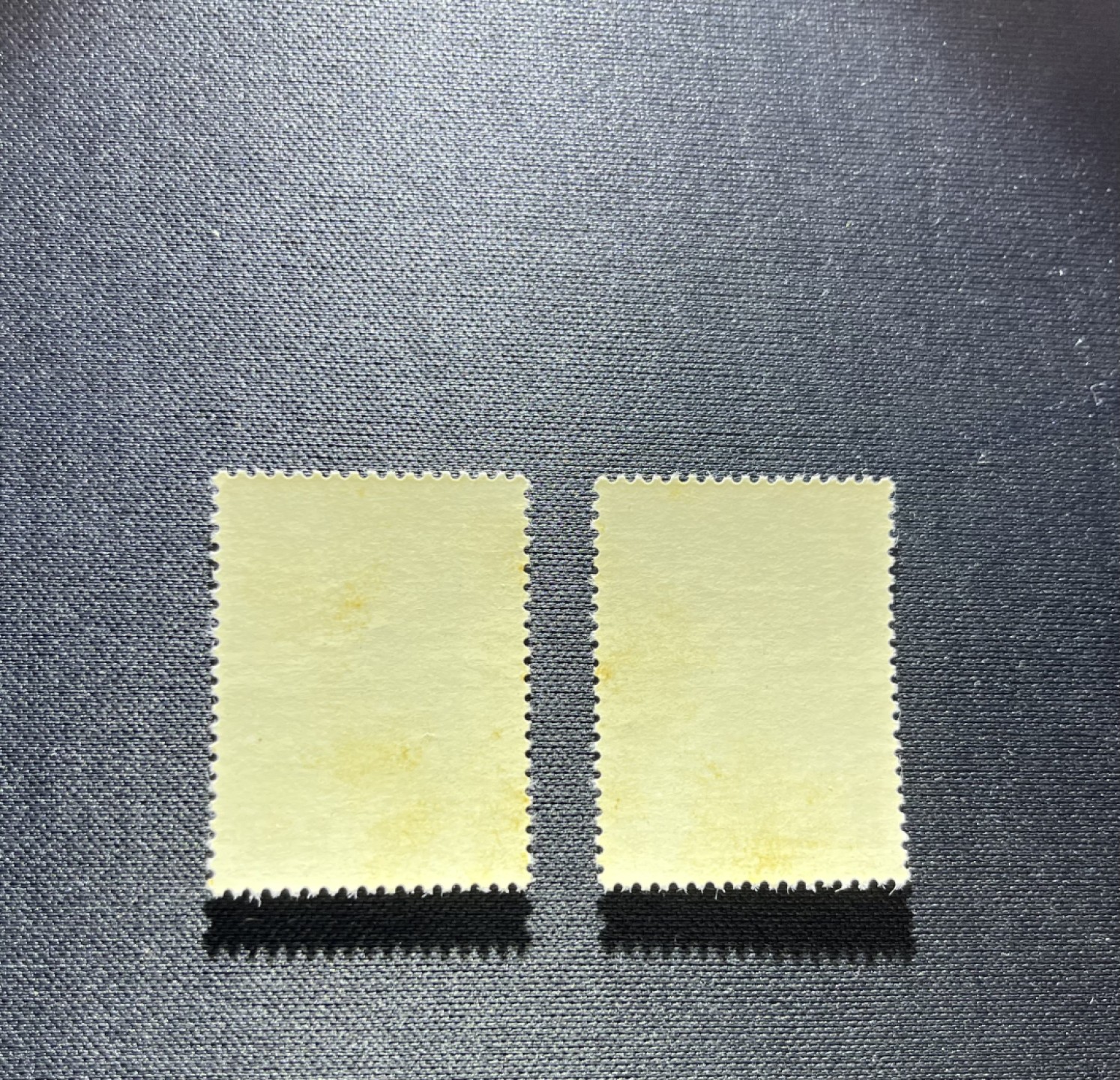 洪涛臻品 精品邮票限时拍卖第十五期 纪91鲁迅新全2套，版撕全品，米胶，胶色不均匀，见图，别无瑕疵
