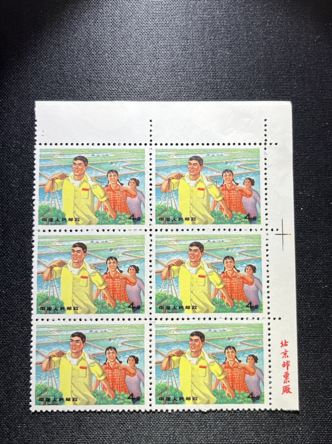 洪涛臻品 精选邮票限时拍卖第十六期 文17知青新，厂名，右上角直角边6方连一组，版撕品质，收藏首选，大票幅更漂亮，普通全品好买，版撕全品不好碰，齿非常新，就像昨天刚撕的一样，版撕精品小票，多多益善，注意捡漏，全品可评级，所有拍品包过灯，注意捡漏