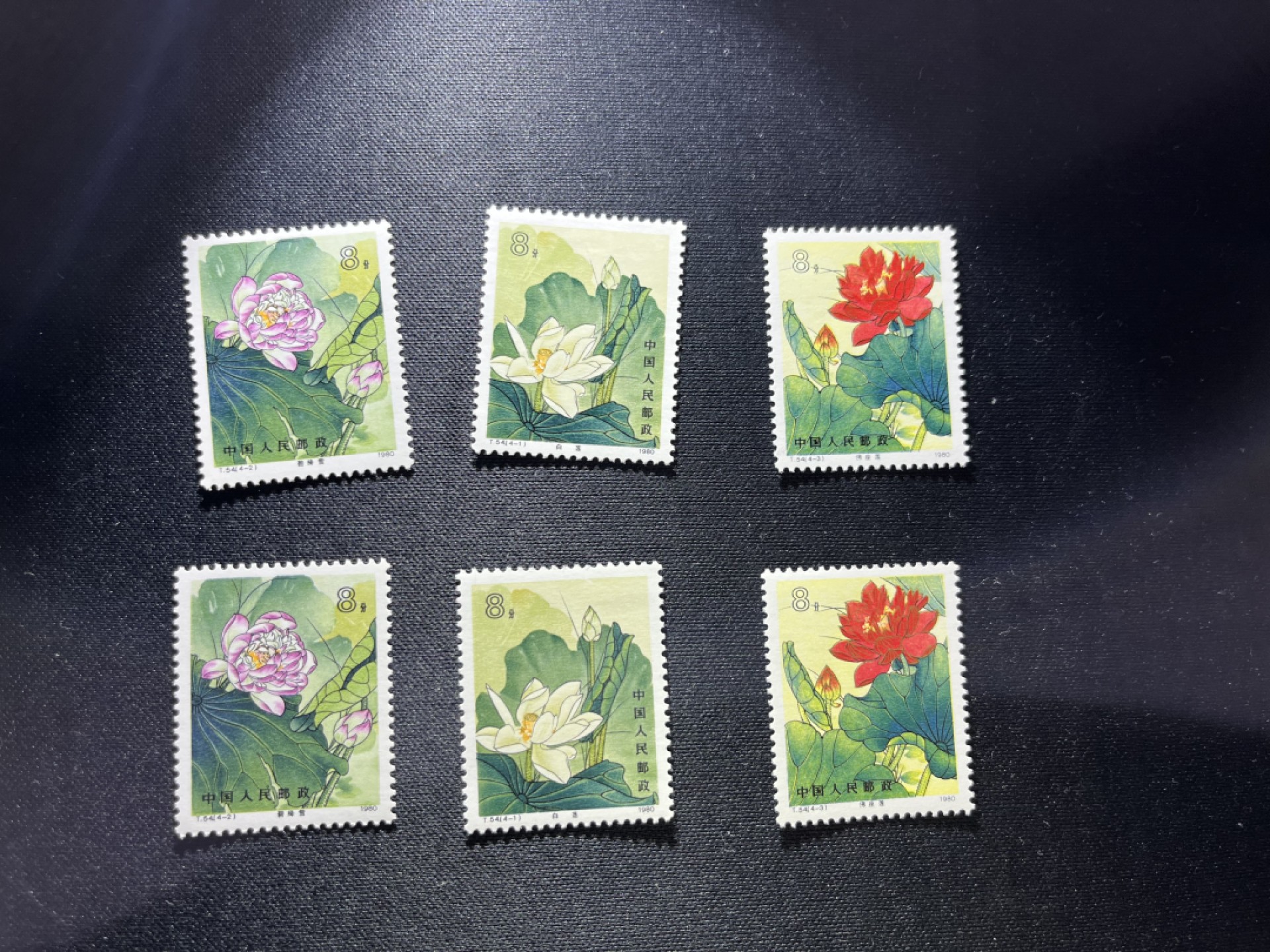 洪涛臻品  精选邮票限时拍卖第十七期 T54荷花 4-1 4-2 4-3共3枚，分别2枚，共6枚，缺4-4。版撕品质嘎嘎绝，拍照光线不理想，背面雪白，全品可评级，所有拍品包过灯，配套的老板注意捡漏