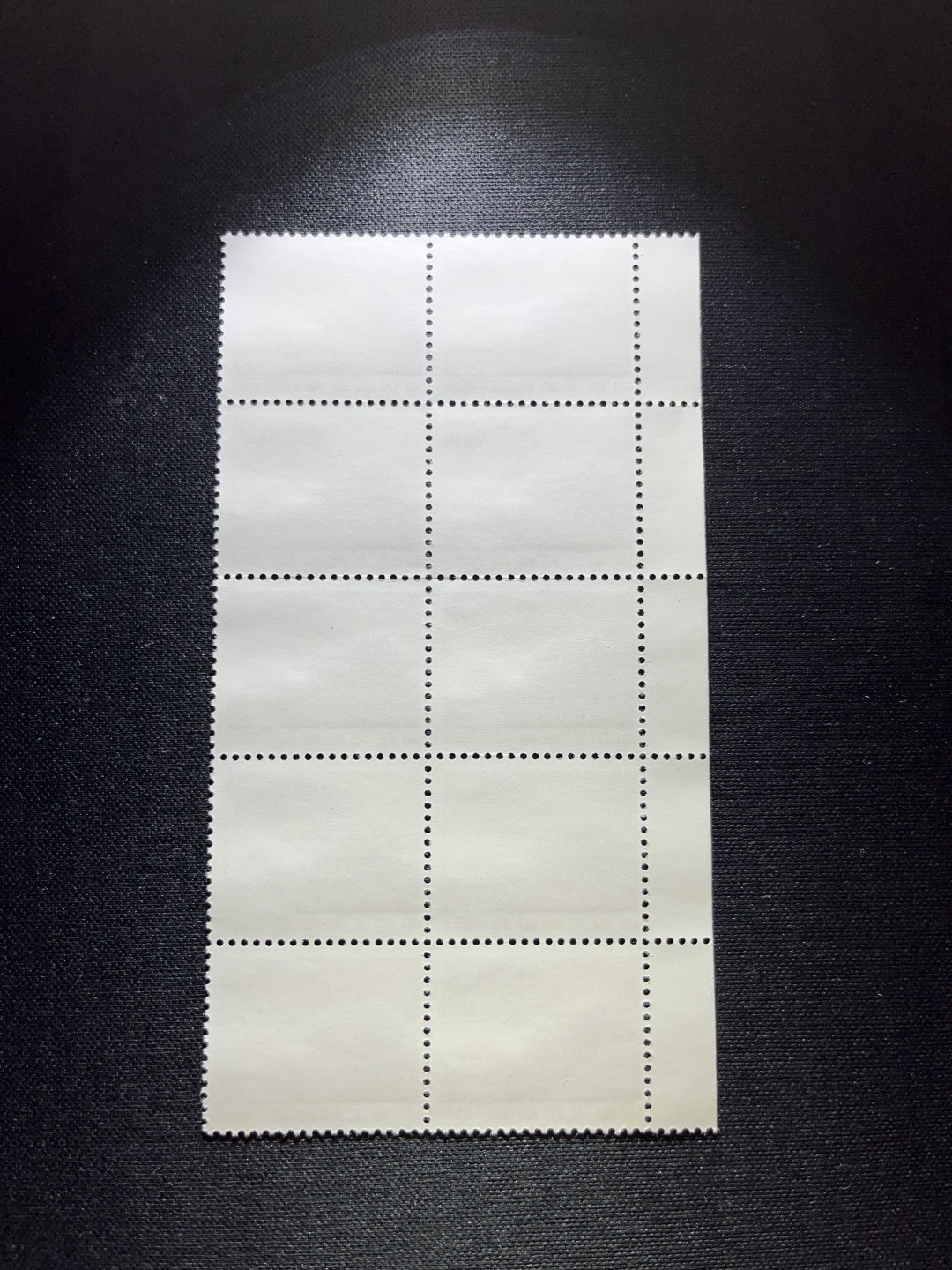 洪涛臻品  精选邮票限时拍卖第十七期 普无号  8分天安门红太阳，10方连左边纸一组，收藏级品相，三俗稀缺，版撕嘎嘎绝，红色图案非常漂亮，正红背白，集邮册中必不可少的一组，版撕精品小票，多多益善，价值洼地，全品可评级，所有拍品包过灯，注意捡漏