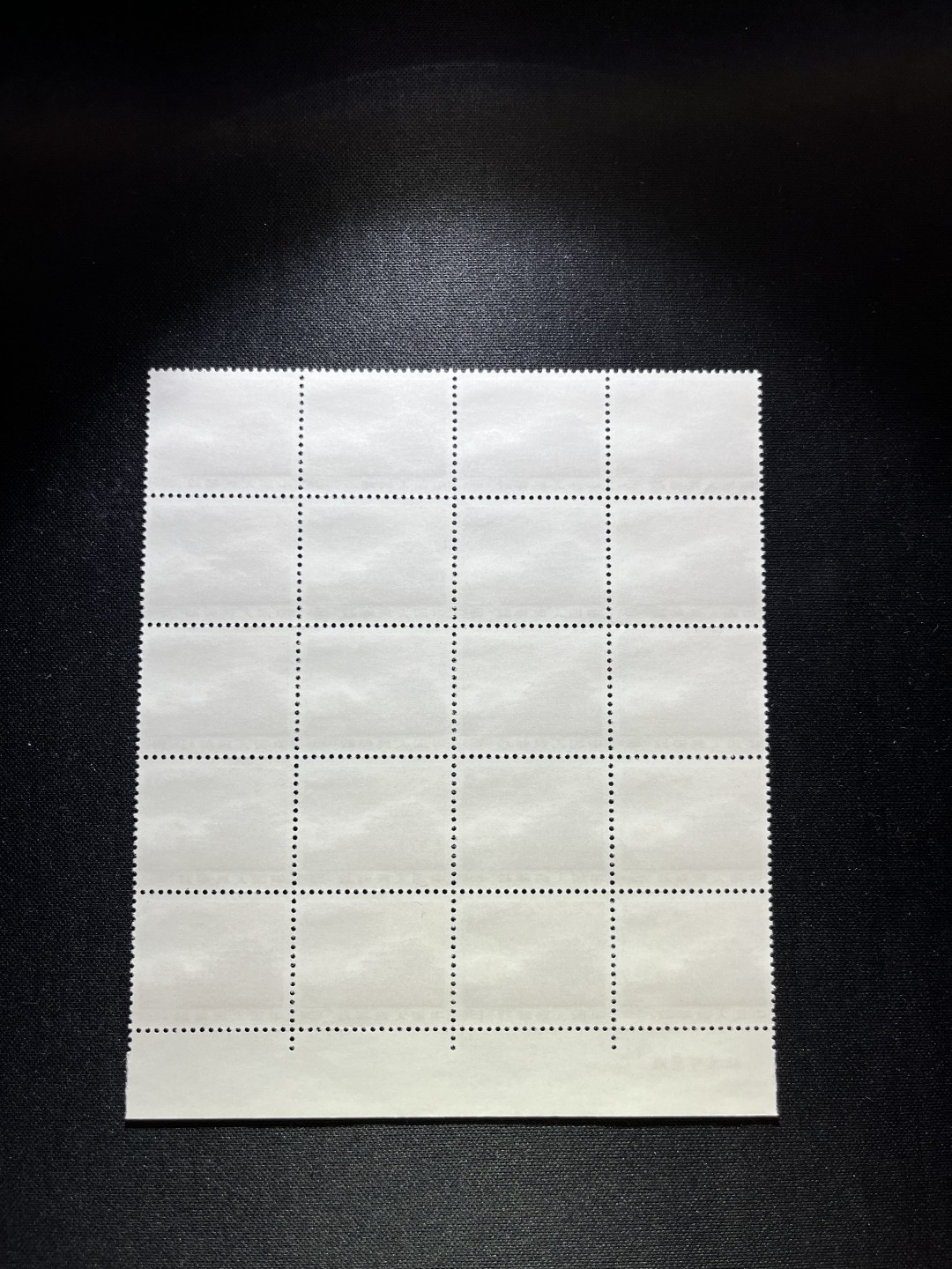 洪涛臻品  精选邮票限时拍卖第十七期 普无号  8分天安门红太阳，20方连 下厂名收藏级品相一组，三俗稀缺，版撕嘎嘎绝，红色图案非常漂亮，正红背白，集邮册中必不可少的一组，版撕精品小票，多多益善，价值洼地，全品可评级，所有拍品包过灯，注意捡漏