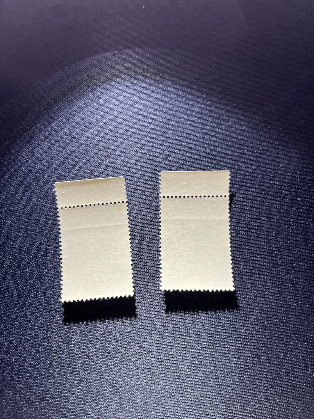 洪涛臻品  精选邮票限时拍卖第十七期 纪91鲁迅新全2套，上边纸，★版撕全品，带原始轻微压痕如图★会处理的分分钟搞定，米胶，一枚极其轻微胶不均匀，别无瑕疵，注意捡漏