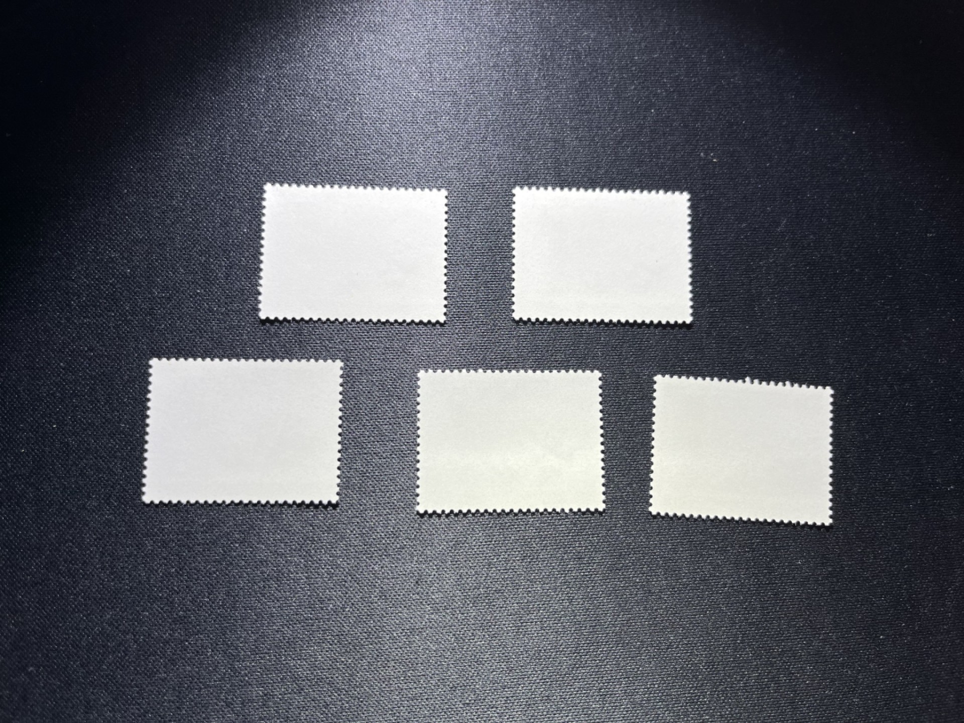 洪涛臻品  精选邮票限时拍卖第十七期 编号熊猫N59  5枚，版撕全品嘎嘎绝，齿孔非常新，背面雪白，不是老赵所谓的全品能比的，编号精品小票，只要品相足够好，多多益善，全品可评级，包过灯，注意抄底