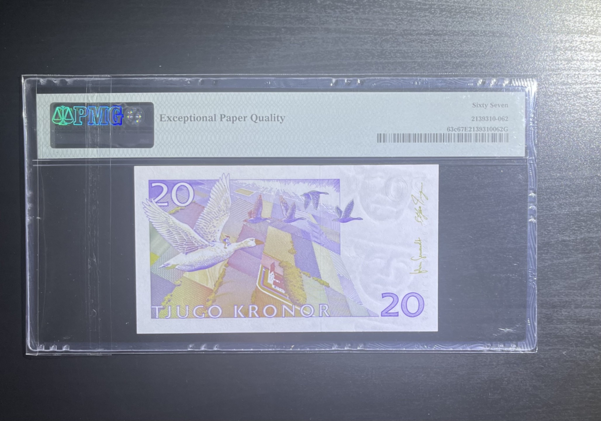 【丑猫0911】今晚7点整，自动快拍 瑞典20骑大鹅【亚军分】