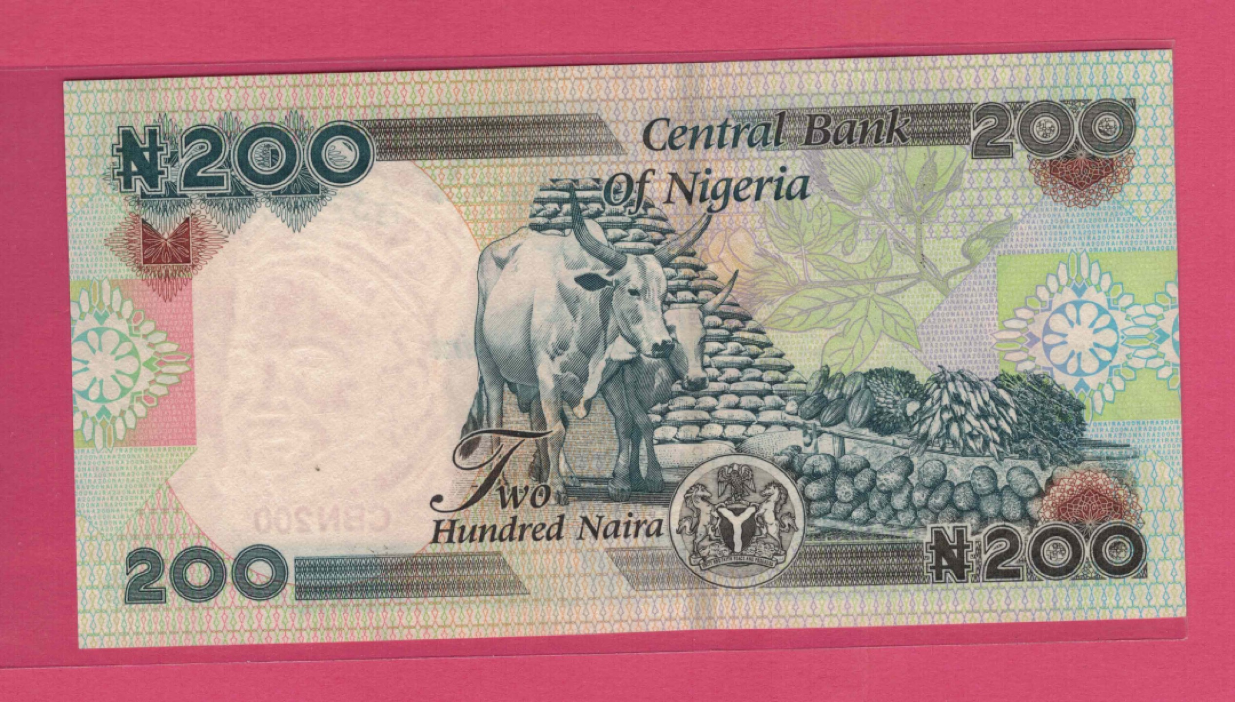 尼日利亚2005年200奈拉 数三 无4 非洲纸币 实物图 UNC