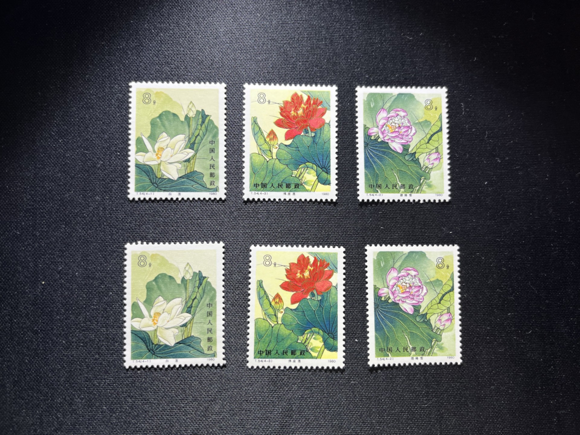 洪涛臻品 精选邮票限时拍卖第十八期 T54荷花 4-1 4-2 4-3共3枚，分别2枚，共6枚，缺4-4。版撕品质嘎嘎绝，拍照光线不理想，背面雪白，全品可评级，所有拍品包过灯，配套的老板注意捡漏
