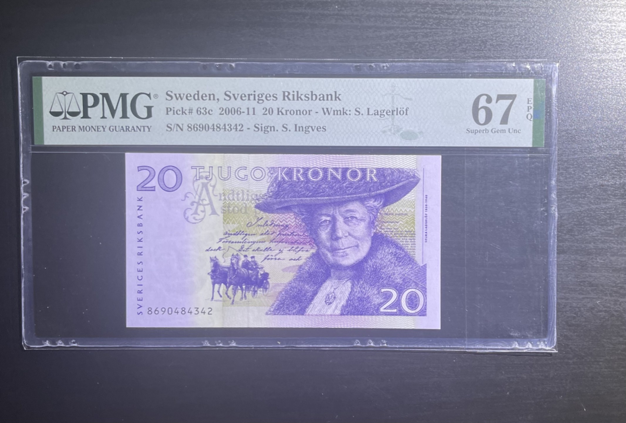 【丑猫0911】今晚7点整，自动快拍 瑞典20骑大鹅【亚军分】