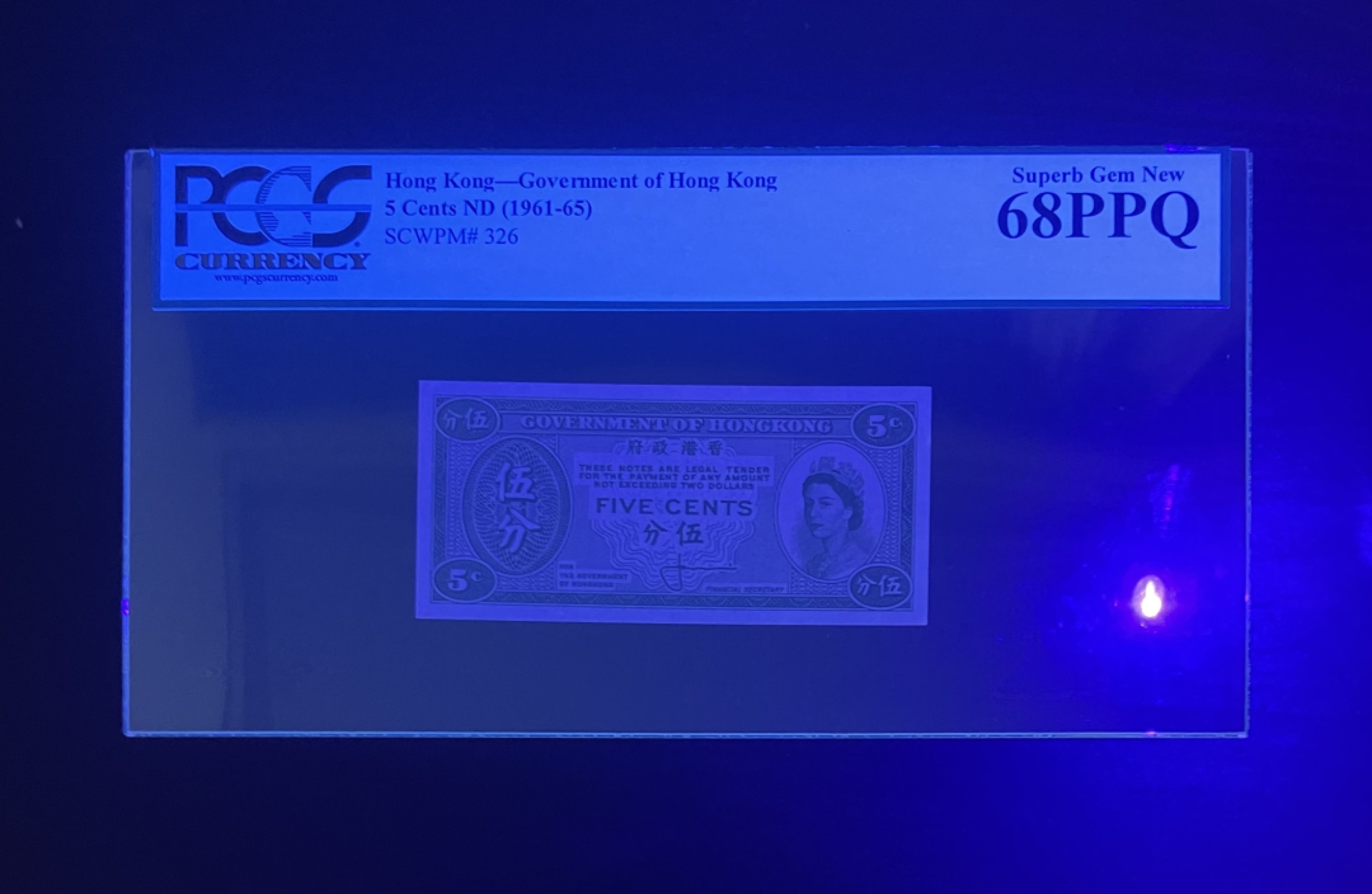 【丑猫0911】今晚7点整，自动快拍 香港高分女王