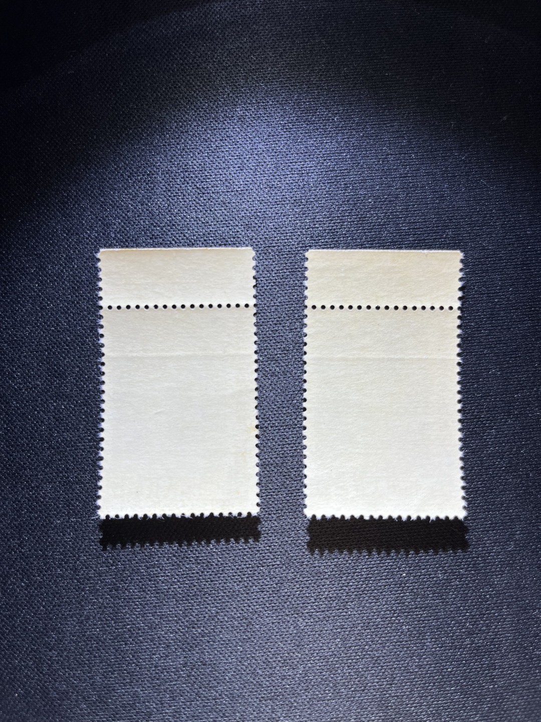 洪涛臻品  精选邮票限时拍卖第十七期 纪91鲁迅新全2套  上厂名，三俗稀缺，★版撕全品，带原始压痕★会处理的分分钟搞定，别无瑕疵，注意捡漏