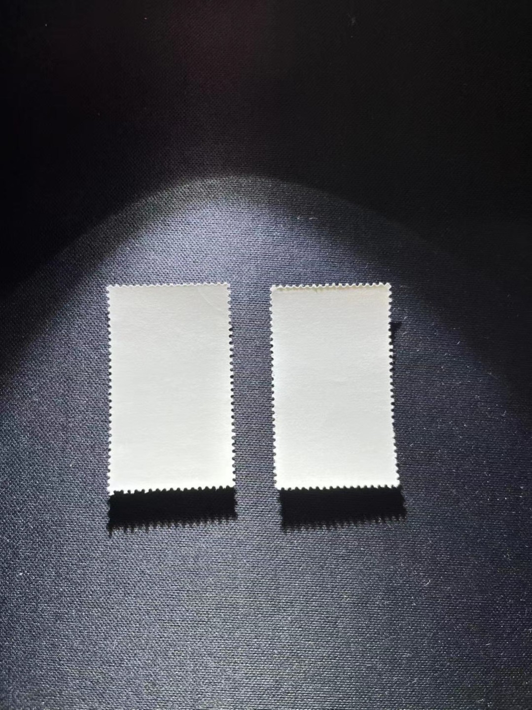 洪涛臻品  精选邮票限时拍卖第十七期 特63石油盖销  5-3两枚，版撕品质，背胶白润，齿孔稍弱，别无问题，上上品，注意捡漏