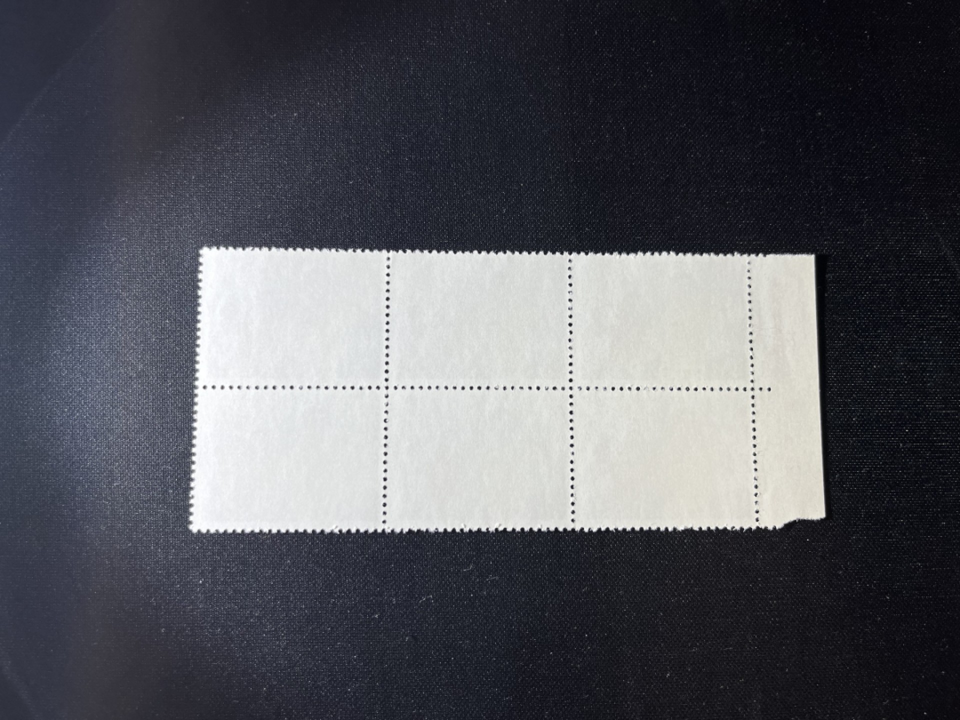 洪涛臻品 精选邮票限时拍卖第十八期 文17知青新，左边数字，厂名6方连一组。版撕全品，齿孔非常新，就是昨天撕的一样，版撕文革小票，品相好，多多益善。所有拍品包过灯，注意捡漏