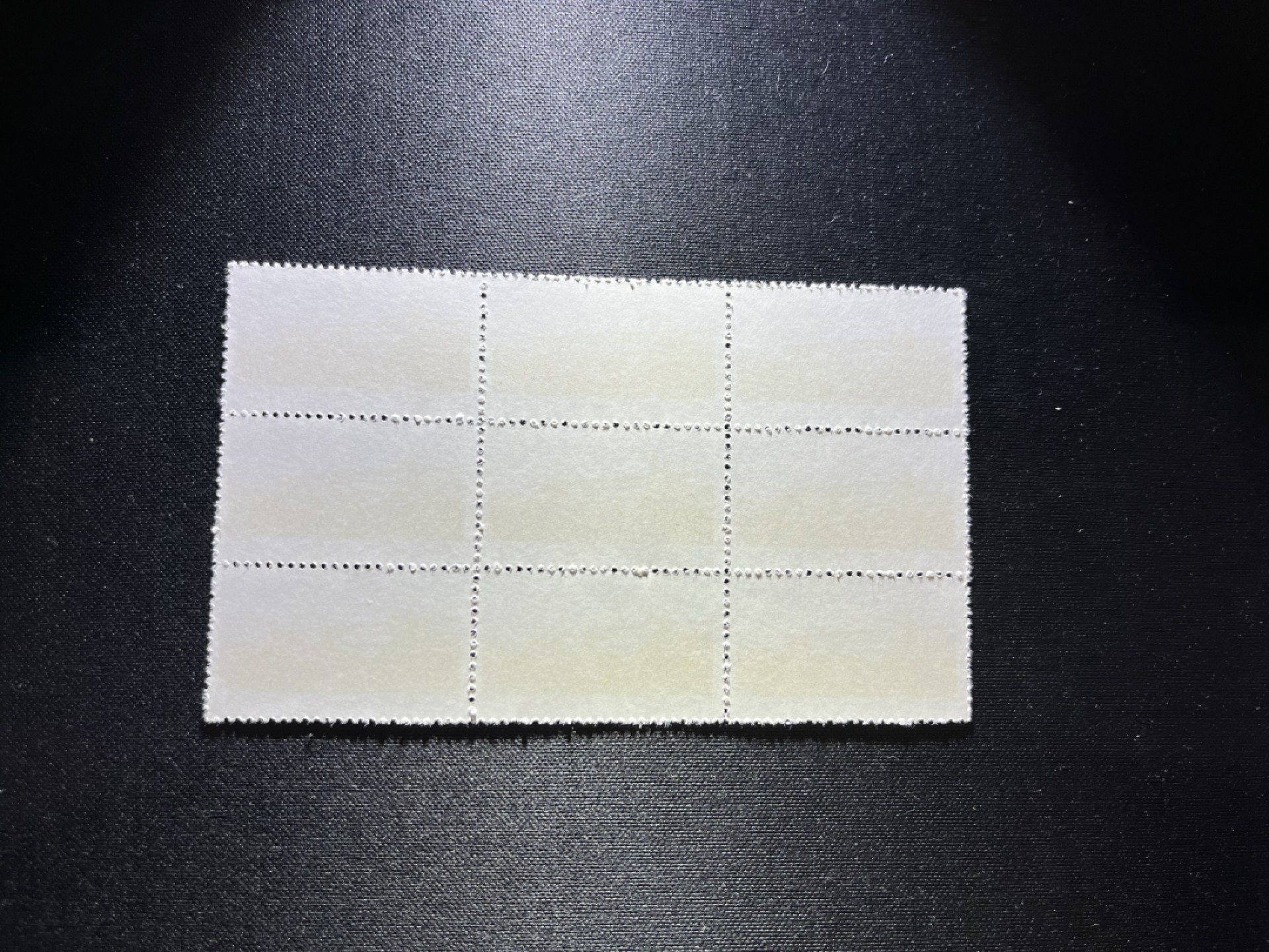 洪涛臻品 精选邮票限时拍卖第十九期 文14长江大桥新 4分9方连一组，3*3  九枚一组的方连非常漂亮。版撕品质嘎嘎绝，不要错过，撕口很新，收藏级别品质，全品可评级，所有拍品包过灯，注意捡漏