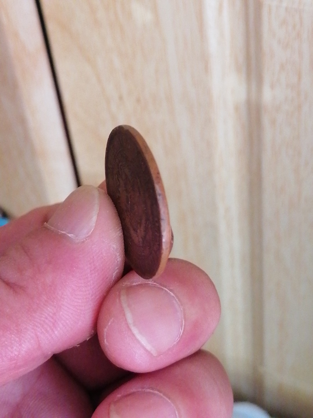 裸币保真专场（永久保真，支持鉴定） 户部丙午大清铜币十文（中心湘）