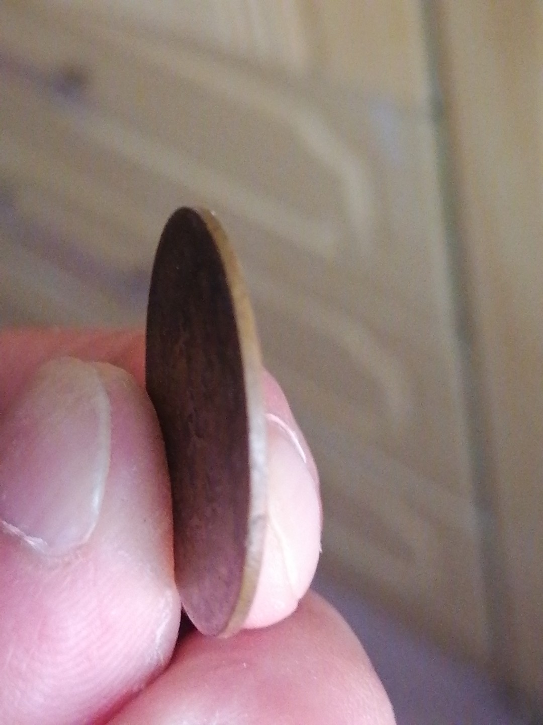 裸币保真专场（永久保真，支持鉴定） 开国纪念币十文（连枝叶）