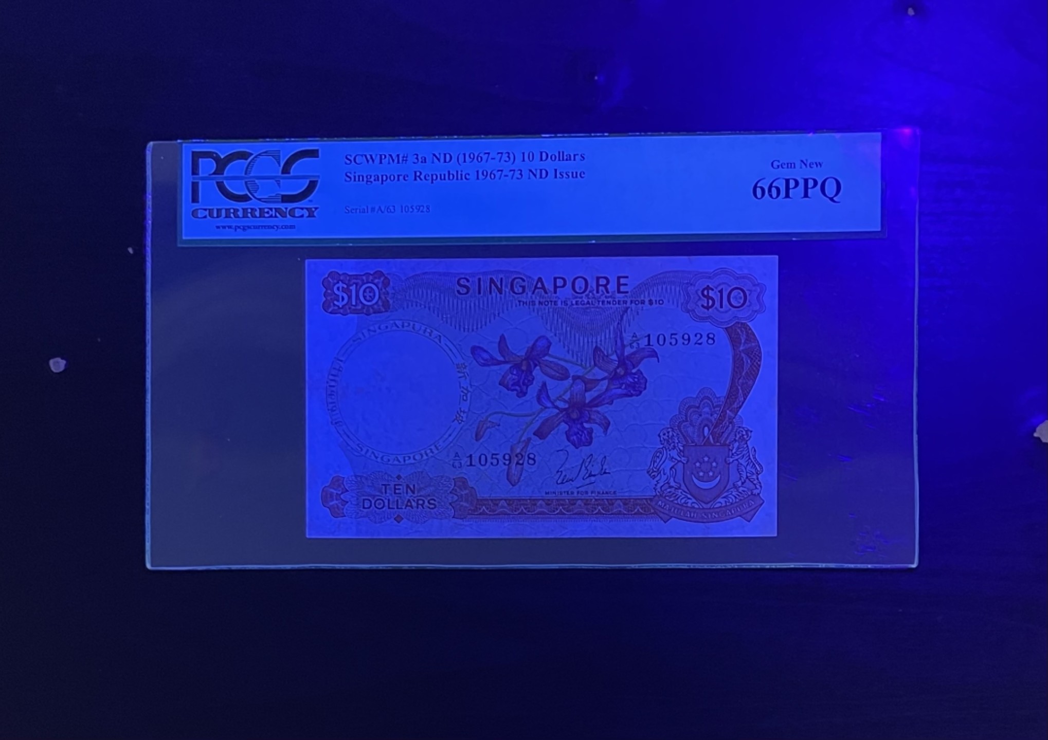 【丑猫0911】今晚7点整，自动快拍 新加坡10元紫兰花(靓号无47)