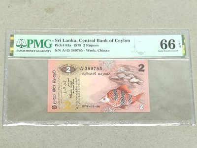 6★机器委托自动落锤★请提前出好价 满30包邮 - 锡兰 小红鱼【佣金2%每件最低2元】机器人托管，无人看管，请提前埋好心理价