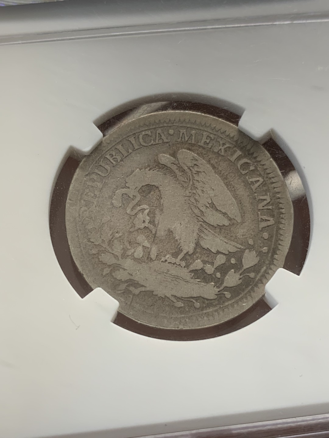 《竞宝斋》第93场-本周日，周一2场连拍（全场不限金额包邮） NGC VG-8 墨西哥 1824年 曲颈鹰 2 REAL 大名誉品 曲颈鹰，辅币有分无伤极少，VG8已经是亚军分，无点版本，鹰洋大涨，价值洼地。