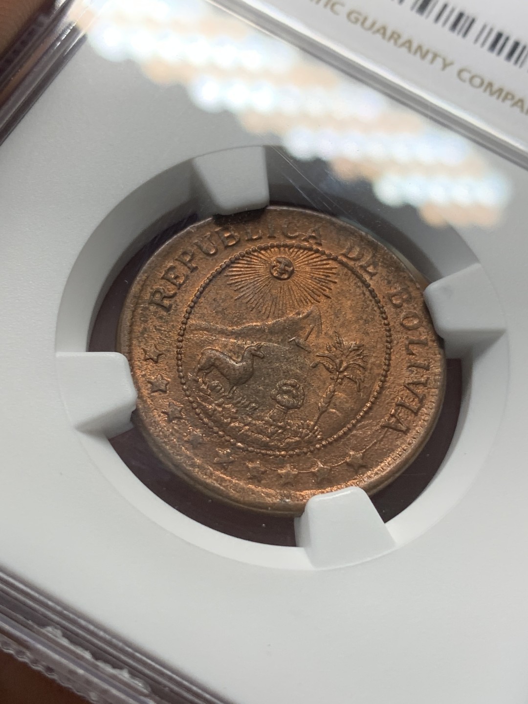 《竞宝斋》第93场-本周日，周一2场连拍（全场不限金额包邮） NGC-MS65 玻利维亚 1942年 草泥马和大山 50分铜币 顶级品相 其它见图